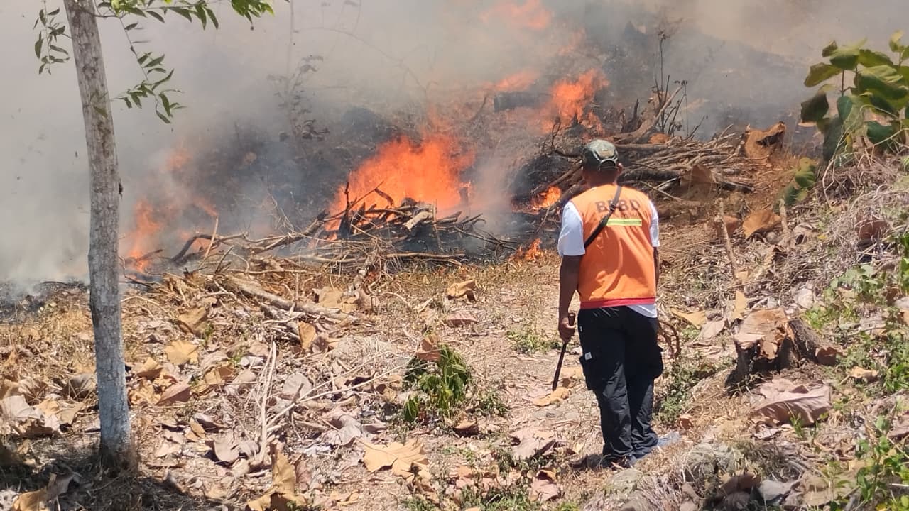 Laporan Harian: Dinamika Bencana dan Respons Pemerintah di Tanah Air (7 September 2026)