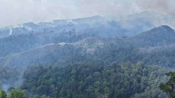 Ilustrasi dampak Karhutla di wilayah Indonesia. (Foto: BNPB)